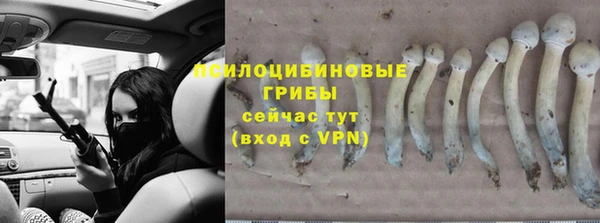 Альфа ПВП Краснослободск