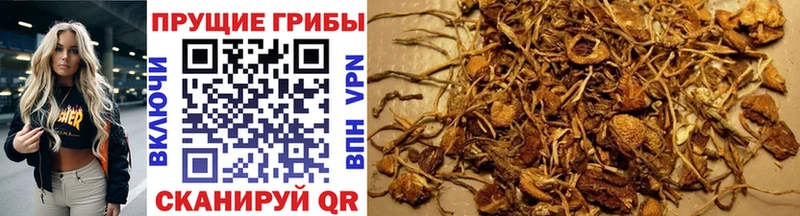 Галлюциногенные грибы прущие грибы  Купить где  Воскресенск 